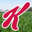 kelloggs