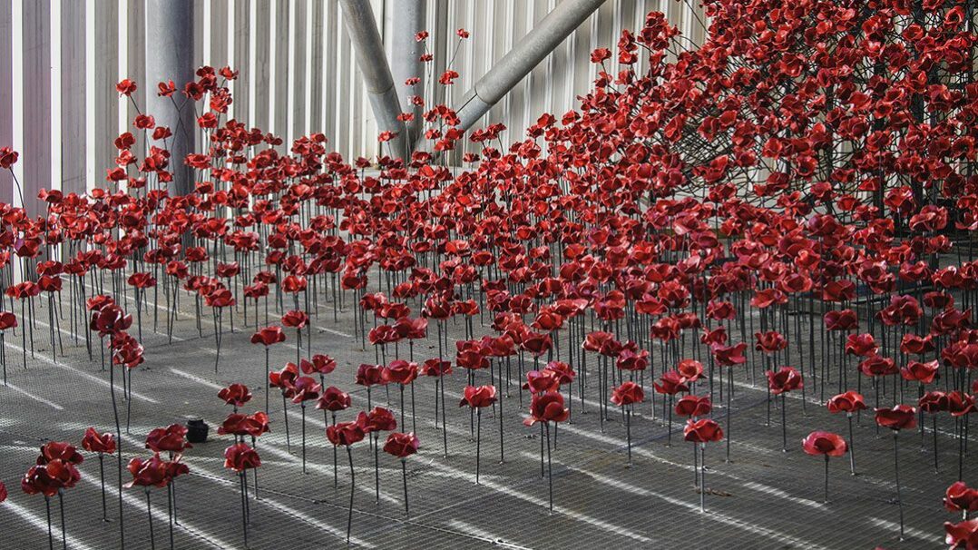 Winter - Imperial War Museum Poppies