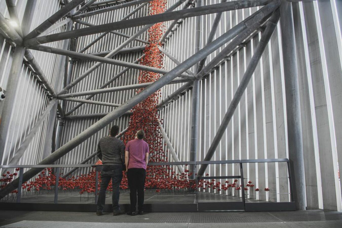 Winter - IWM Poppies