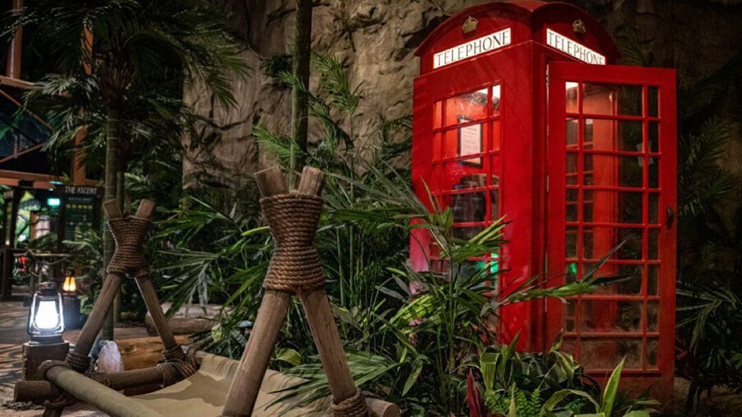 Winter - Im a Celeb Get Me Out of Here