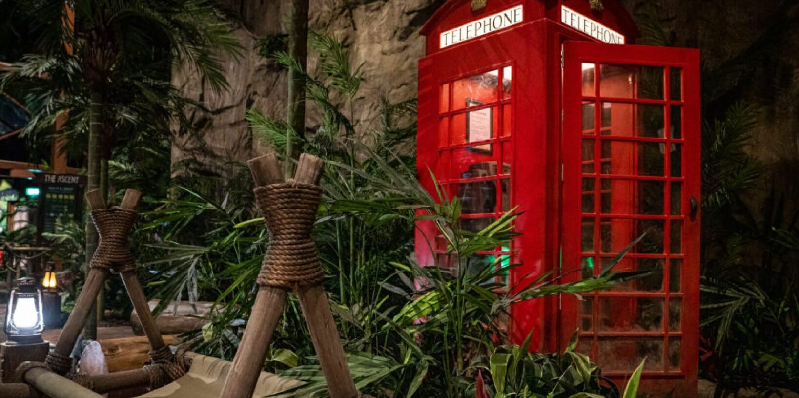 Event - Winter I'm A Celeb