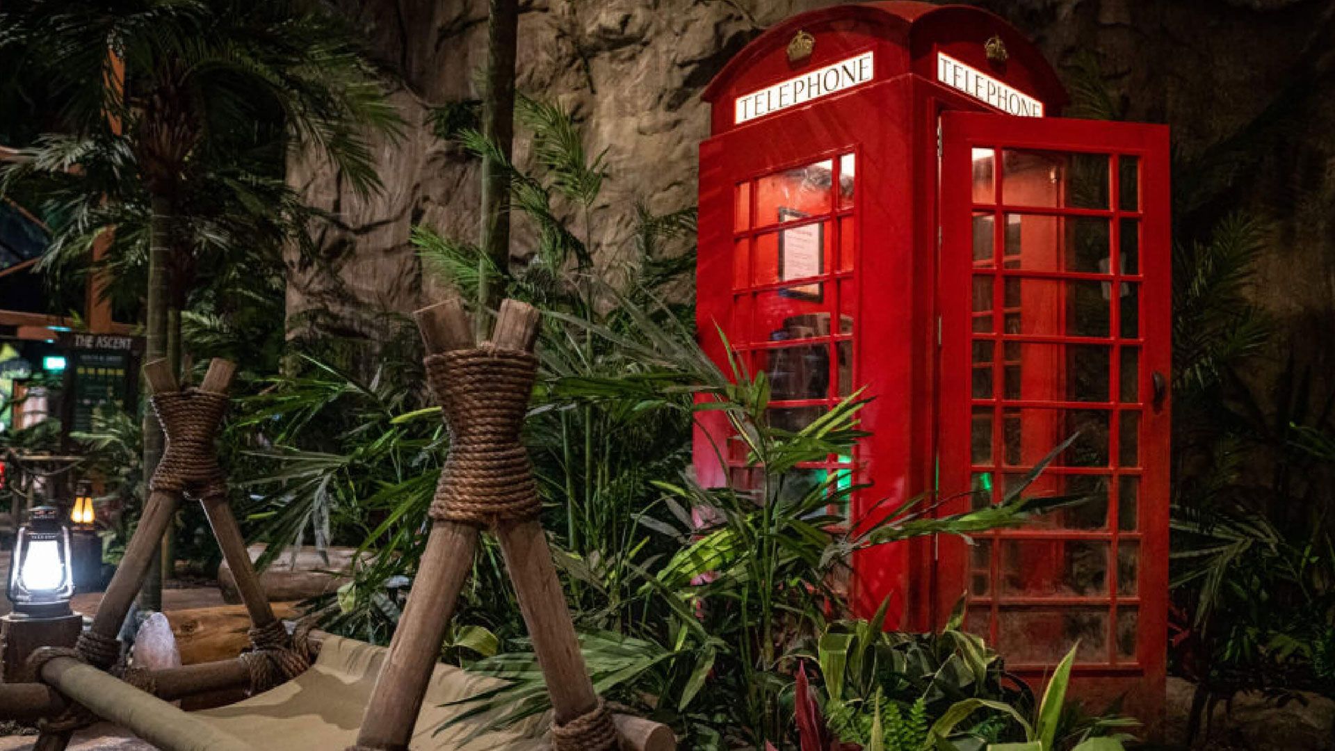 Event - Winter I'm A Celeb