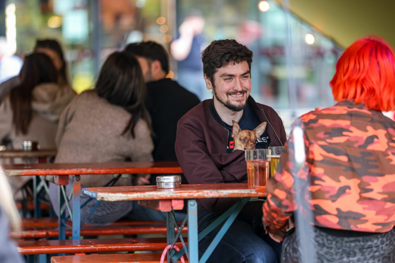 owner and dog drinking seven Bro7hers beer