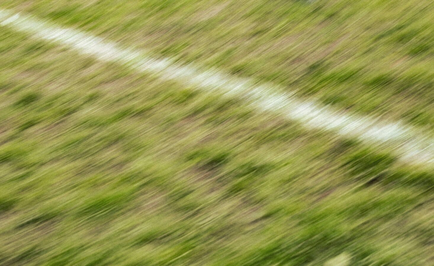 blurry photo of a football pitch