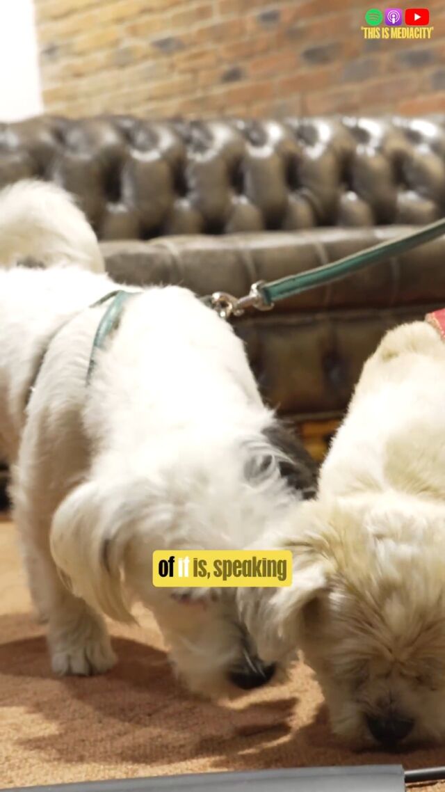 Fancy registering your four legged bestie with a pet modelling agency?

This is MediaCity episode 17 with @animal_direction out this Friday at 9am!

#animaldirection #mediacity